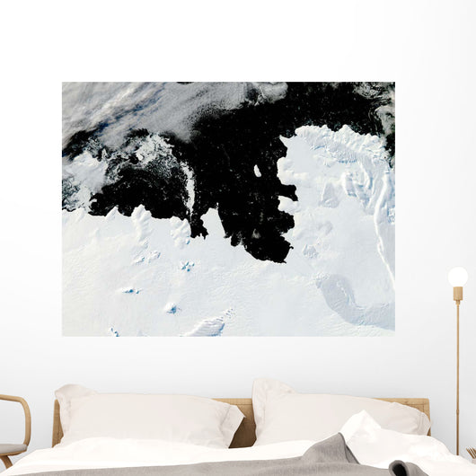 Pine Island Bay West Wall Decal