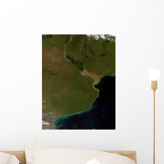 Rio La Plata Estuary Wall Decal