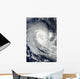 Tropical Cyclone Imani Swirls Wall Decal
