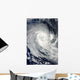 Tropical Cyclone Imani Swirls Wall Decal