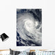 Tropical Cyclone Imani Swirls Wall Decal