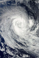Tropical Cyclone Imani Swirls Wall Decal