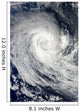 Tropical Cyclone Imani Swirls Wall Decal