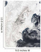 Volcanoes Central Kamchatka Peninsula Wall Decal