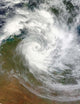 Tropical Cyclone Paul over Wall Decal Design 2