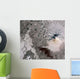 Ash Rich Plume Rises Wall Decal