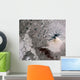 Ash Rich Plume Rises Wall Decal