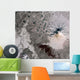Ash Rich Plume Rises Wall Decal