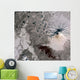Ash Rich Plume Rises Wall Decal