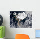 Ash Plume from Eyjafjallajokull Wall Decal Design 3