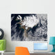 Ash Plume from Eyjafjallajokull Wall Decal Design 3