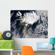 Ash Plume from Eyjafjallajokull Wall Decal Design 3