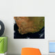 Satellite South Africa Wall Decal