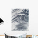 Network Clouds over Pacific Wall Decal