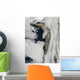 Satellite Thick Plume Ash Wall Decal