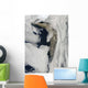 Satellite Thick Plume Ash Wall Decal