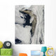 Satellite Thick Plume Ash Wall Decal
