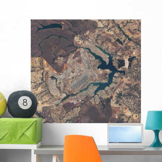 Natural-color Image Brasa Lia Wall Decal