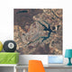 Natural-color Image Brasa Lia Wall Decal