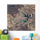 Natural-color Image Brasa Lia Wall Decal