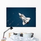 Aerial Space Shuttle Discovery Wall Decal Design 3