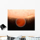 Artist's Concept Unusual Methane-free Wall Decal