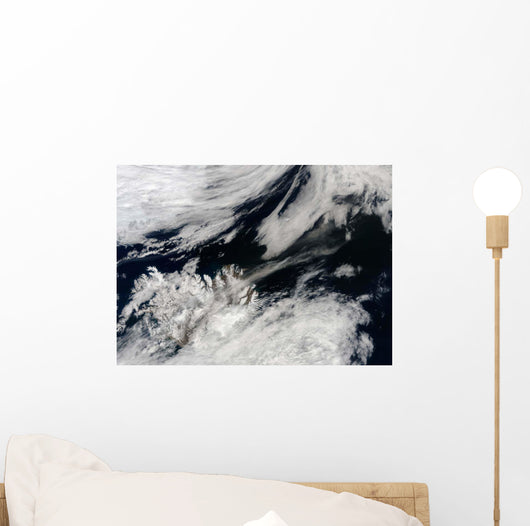 Pale Gray Ash Plume Wall Decal
