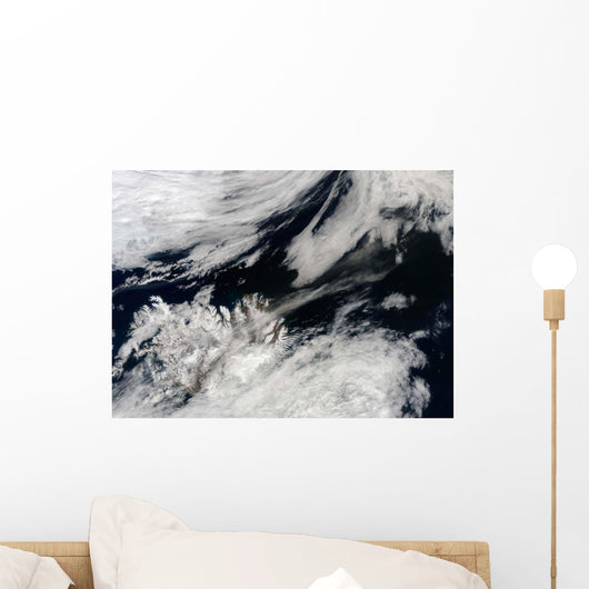 Pale Gray Ash Plume Wall Decal