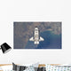 Flying above Atlantic Coast Wall Decal