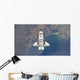 Flying above Atlantic Coast Wall Decal
