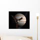 Artist's Concept Juno Spacecraft Wall Decal