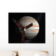 Artist's Concept Juno Spacecraft Wall Decal