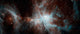 Colony Hot Young Stars Wall Decal