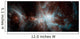 Colony Hot Young Stars Wall Decal