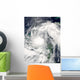 Hurricane Alex Wall Decal
