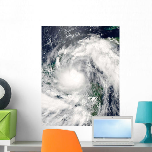 Hurricane Alex Wall Decal