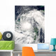 Hurricane Alex Wall Decal