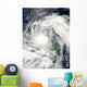 Hurricane Alex Wall Decal