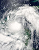 Hurricane Alex Wall Decal