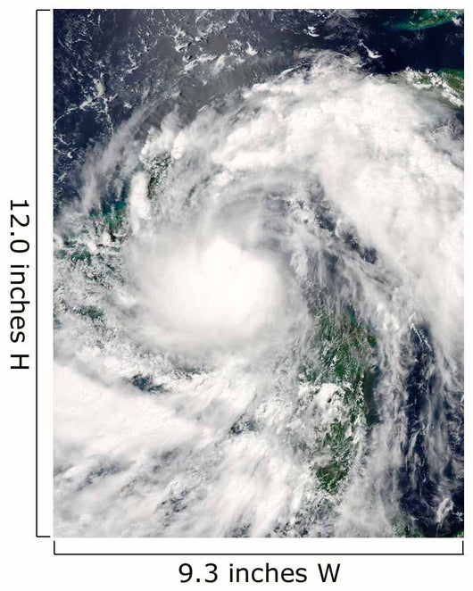 Hurricane Alex Wall Decal