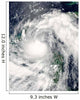 Hurricane Alex Wall Decal