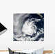 Satellite Tropical Depression Blas Wall Decal