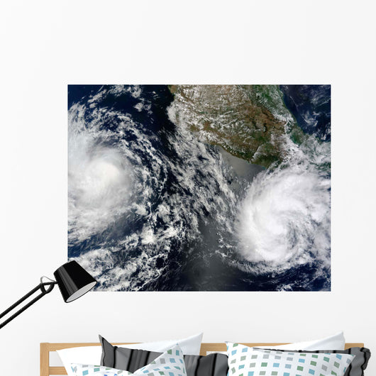Tropical Storms Blas and Wall Decal