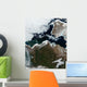 Satellite Northwest Canada Wall Decal