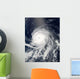 Satellite Hurricane Celia over Wall Decal