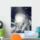 Satellite Hurricane Celia over Wall Decal
