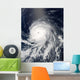 Satellite Hurricane Celia over Wall Decal