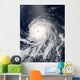 Satellite Hurricane Celia over Wall Decal