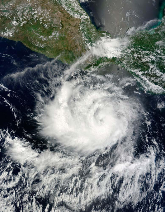 Satellite Tropical Storm Darby Wall Decal
