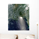 Satellite Oil Spill Is Wall Decal